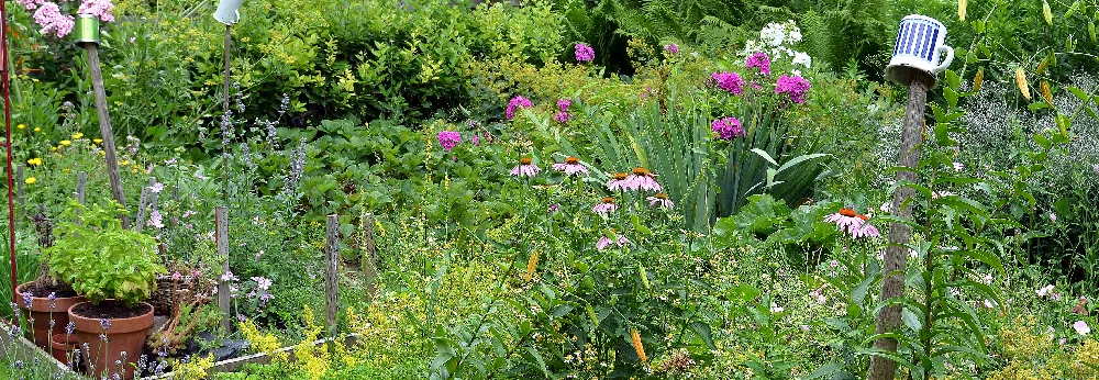 Blühender Garten mit Töpfen im Vordergrund